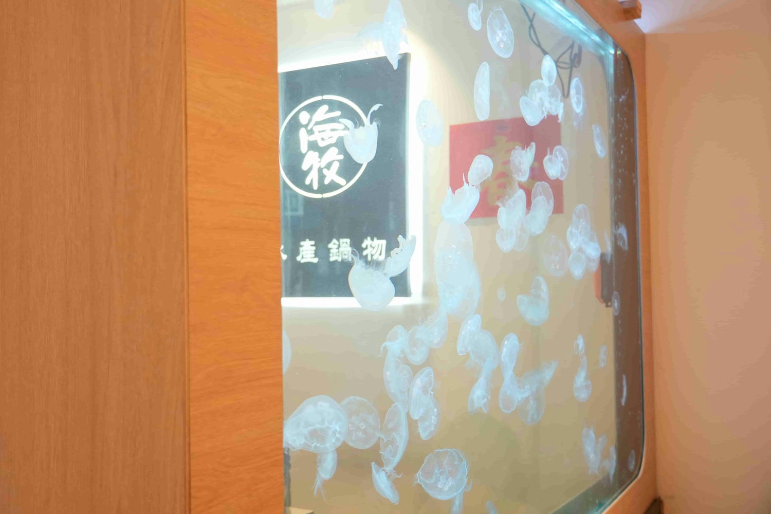 信義安和火鍋推薦【海牧水產鍋物-通化店】店內超美水母缸好療癒,新鮮水產直送上桌超奢華!大安美食推薦 - 第1張圖