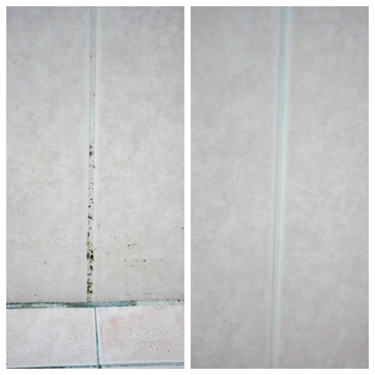 2025室內清潔新勢力【潔淨學】居家清潔免煩惱,12月限時團購中🔥 - 第2張圖 2025室內清潔新勢力【潔淨學】居家清潔免煩惱,12月限時團購中🔥