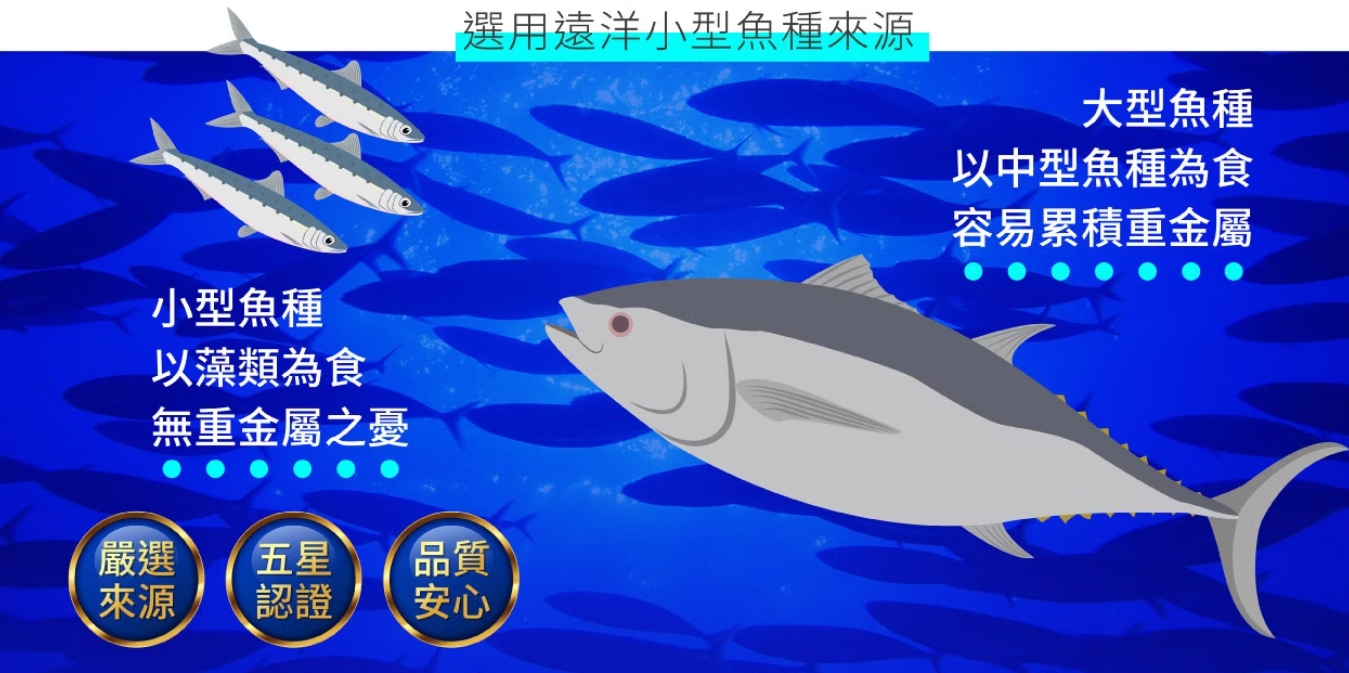 市售魚油品牌大開箱【2025魚油推薦品牌評比】哪款更適合搶先看