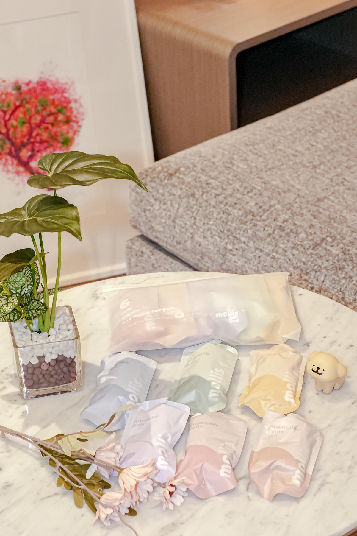 1月團購開跑【mollis 純棉日拋褲、無痕內褲 】乾淨又親膚，日拋貼身衣物好舒適，2026年前最後一波，趕快囤貨起來🏆